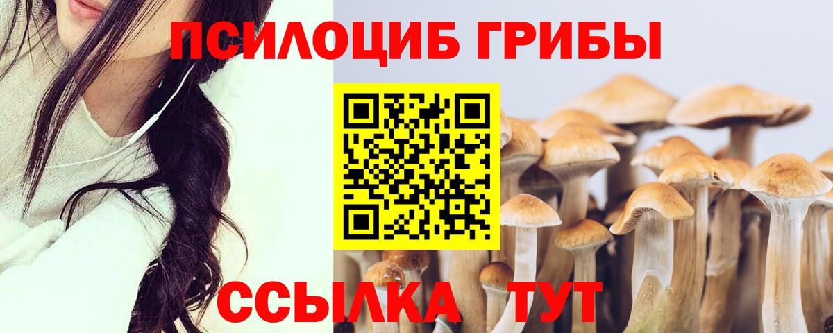 Нефтекамск  Псилоцибиновые грибы Cubensis  Вход с VPN 