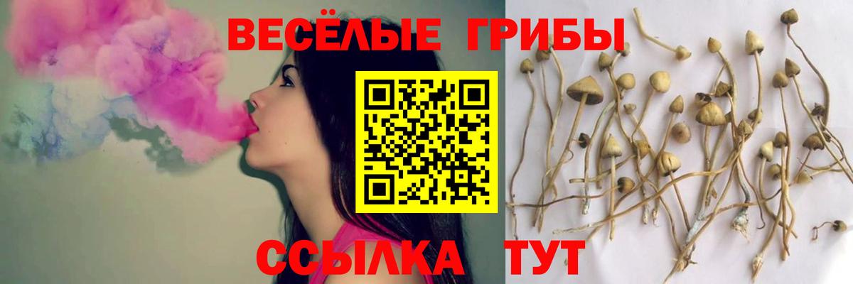 Галлюциногенные грибы Psilocybine cubensis Нефтекамск
