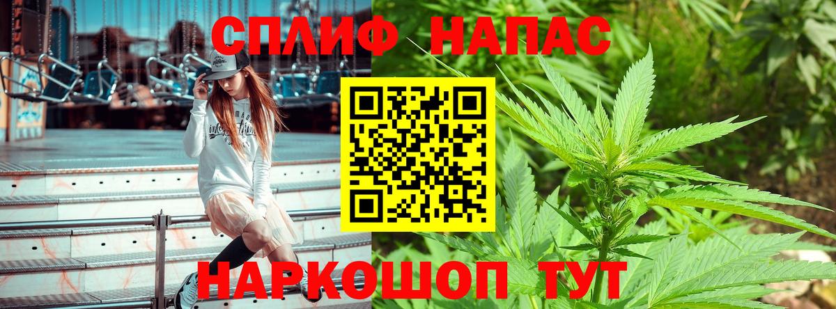 Шишки марихуана семена  Каннабис THC 21%  Вход с VPN  Канабис сатива  Нефтекамск 